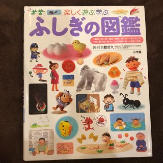 ショウガクカン(小学館)のふしぎの図鑑 楽しく遊ぶ学ぶ(絵本/児童書)