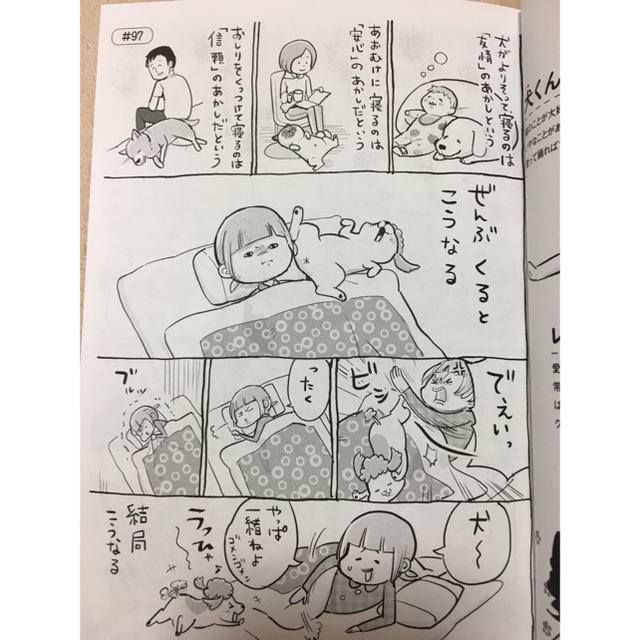 犬と猫どっちも飼ってると毎日たのしい④松本ひで吉 エンタメ/ホビーの漫画(その他)の商品写真