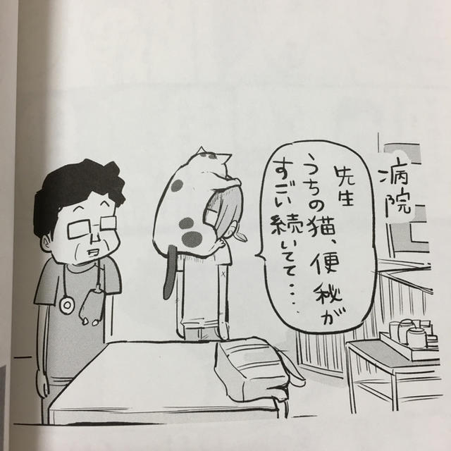 犬と猫どっちも飼ってると毎日たのしい④松本ひで吉 エンタメ/ホビーの漫画(その他)の商品写真