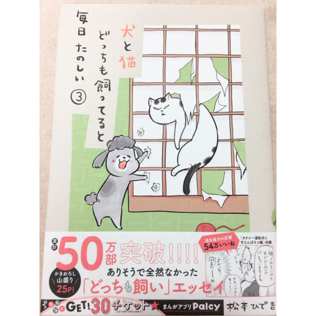 犬と猫どっちも飼ってると毎日たのしい③松本ひで吉 エンタメ/ホビーの漫画(その他)の商品写真