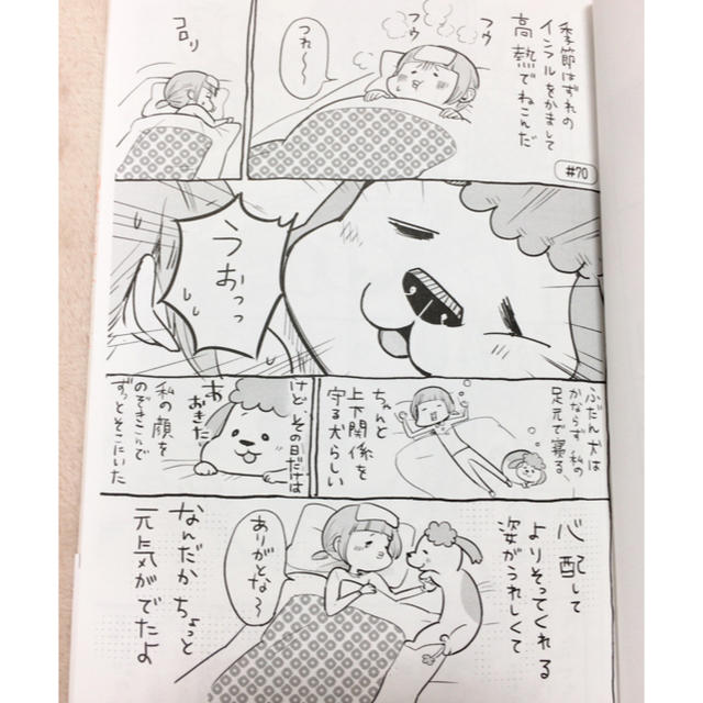 犬と猫どっちも飼ってると毎日たのしい③松本ひで吉 エンタメ/ホビーの漫画(その他)の商品写真