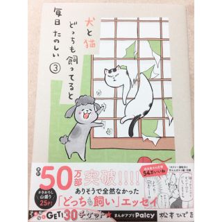 犬と猫どっちも飼ってると毎日たのしい③松本ひで吉(その他)