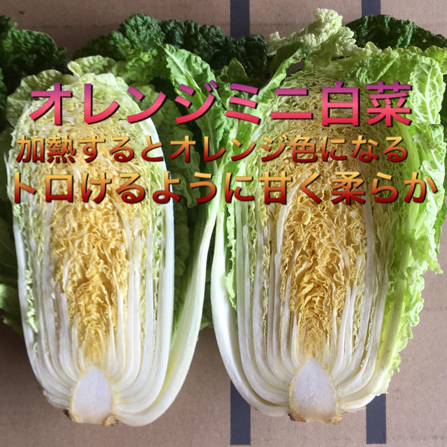 野菜BOX  Mサイズ　n＿se様専用 食品/飲料/酒の食品(野菜)の商品写真