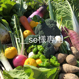 野菜BOX  Mサイズ　n＿se様専用(野菜)