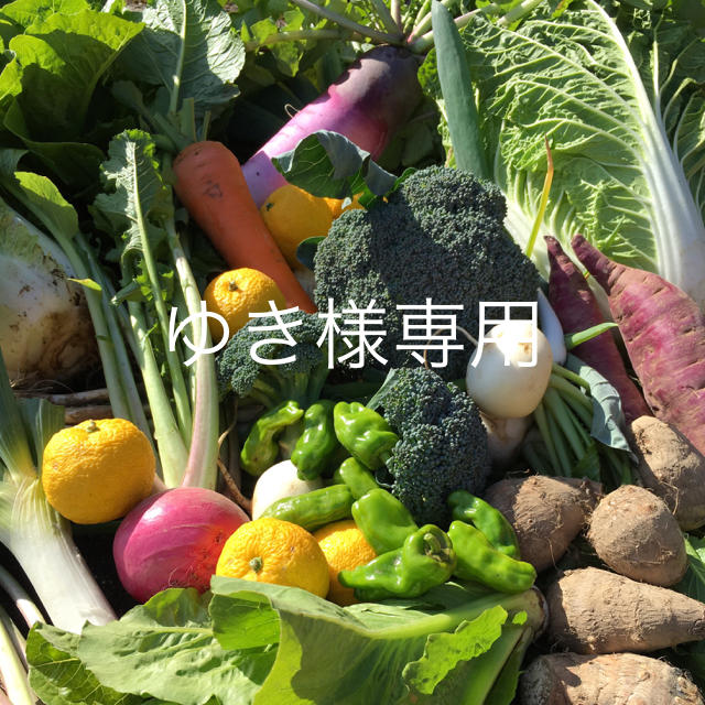 野菜BOX Mサイズ　ゆき様専用 食品/飲料/酒の食品(野菜)の商品写真