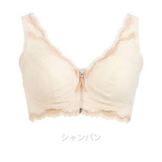 ブラデリスニューヨーク(BRADELIS New York)の新品　ブラデリス　フロントファスナーブラ(ブラ)