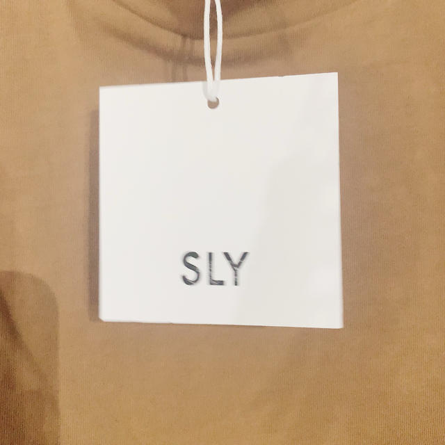 SLY(スライ)のSLY カットソー　ブルームーンさん専用 レディースのトップス(カットソー(半袖/袖なし))の商品写真