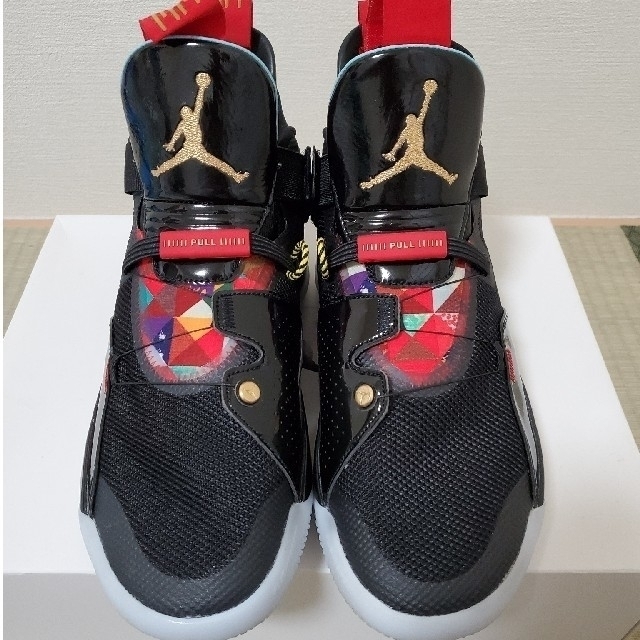 AIR JORDAN  XXXIII PF