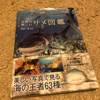 タカラジマシャ(宝島社)の世界の美しいサメ図鑑(趣味/スポーツ/実用)