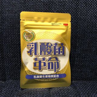 乳酸菌革命(その他)