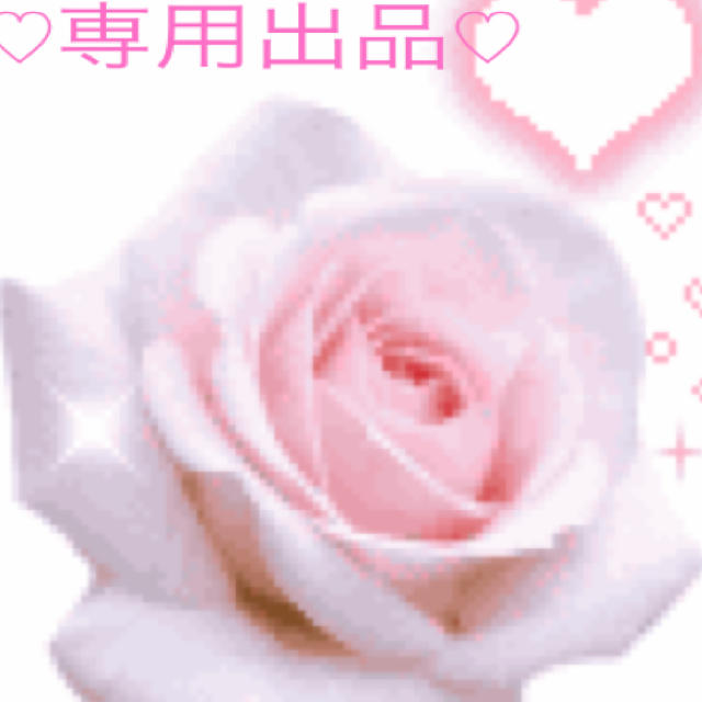 elly様★専用