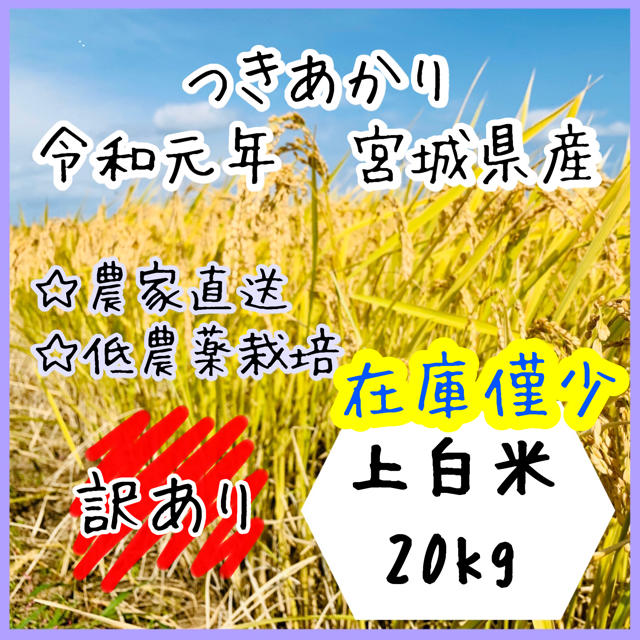 米/穀物【訳あり】即購入OK♪ 宮城県産つきあかり上白米20kg【送料無料】