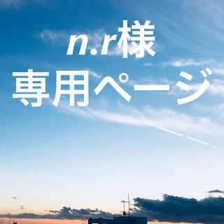 n.r様専用ページ(その他)