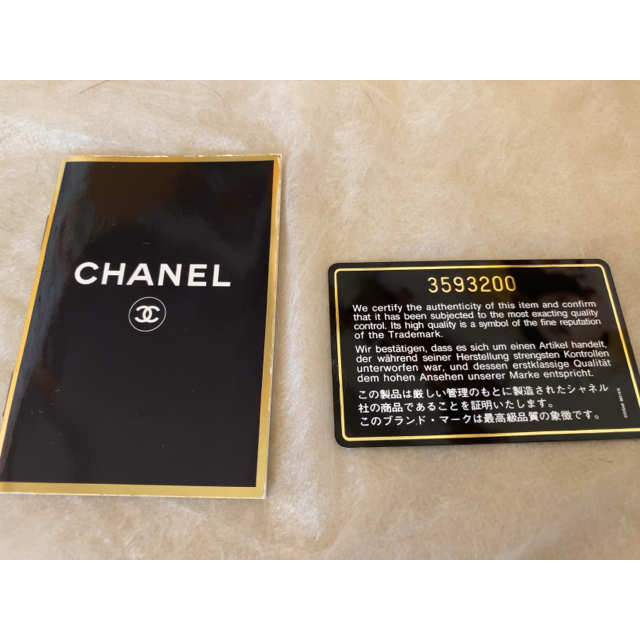 CHANEL(シャネル)のCHANELビジネスバック メンズのバッグ(ビジネスバッグ)の商品写真