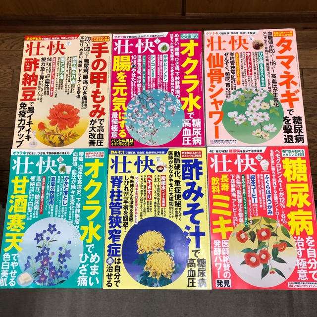 壮快　雑誌　まとめ6冊 エンタメ/ホビーの雑誌(生活/健康)の商品写真