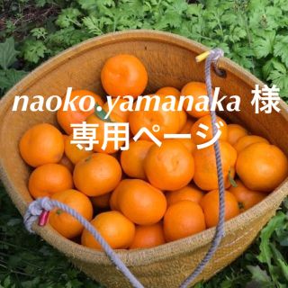 naoko.yamanaka 様　専用ページ(フルーツ)