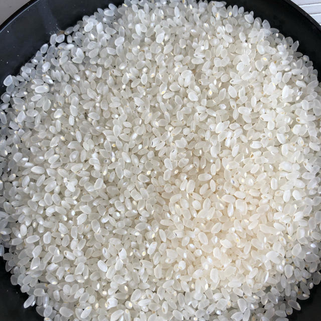 コシヒカリ　山形県産　減農薬栽培　一等米　送料無料　20キロ　米/穀物　令和元年産　白米
