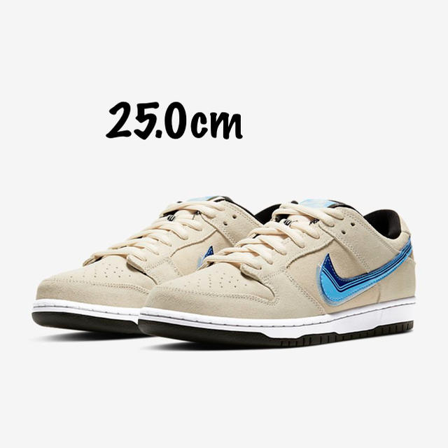 25.0 NIKE SB DUNK LOW PRO/ナイキ SB ダンク プロ