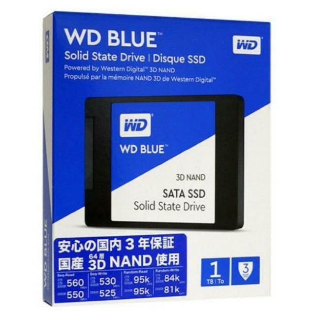 WD BLUE WDS100T2B0A