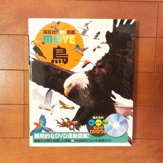 動く図鑑MOVE 鳥 DVD付き(絵本/児童書)