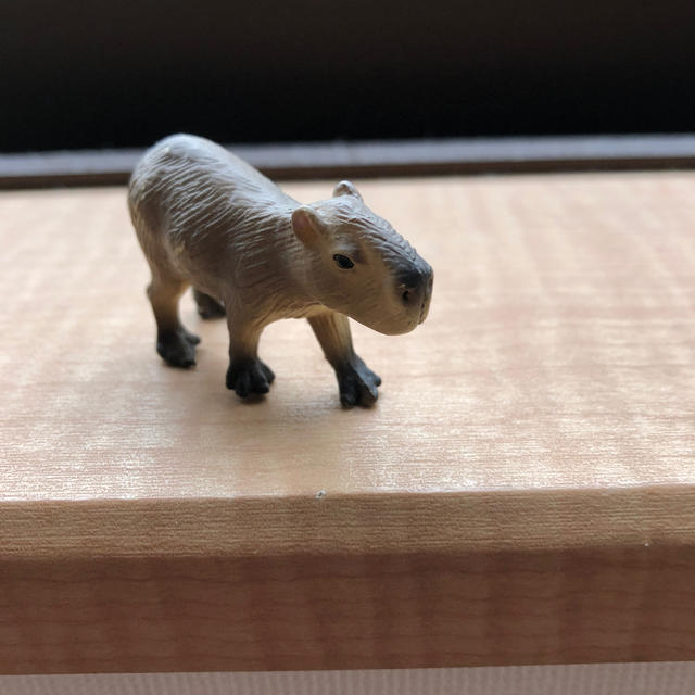 ガチャガチャ カピバラの通販 By さっち S Shop ラクマ ガチャガチャ カピバラの通販 By さっち S Shop ラクマ