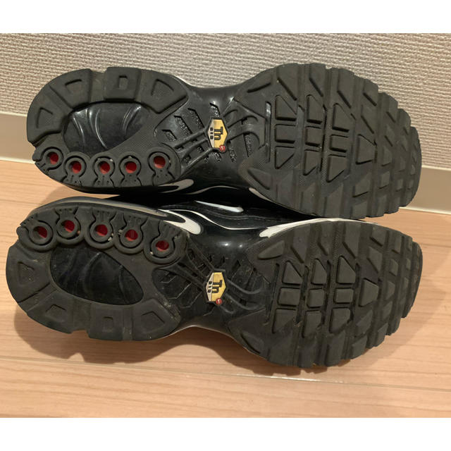 NIKE ナイキ AirMax Plus エアマックスプラス 29cm