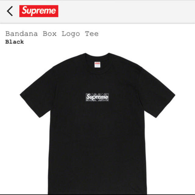 Supreme Bandana Box Logo Teeトップス