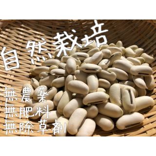 「自然栽培」白なた豆 約200g(野菜)