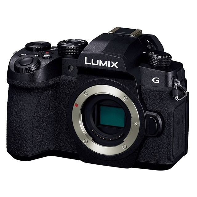 Panasonic LUMIX DC-G99 ボディ一式 黒 ブラック 購入最激安 ミラー ...