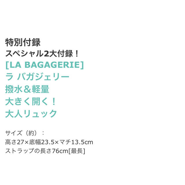 ayadale様専用大人のおしゃれ手帳　1月号　付録のみ レディースのバッグ(リュック/バックパック)の商品写真