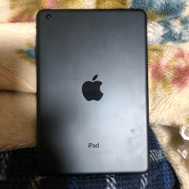 iPadmini1