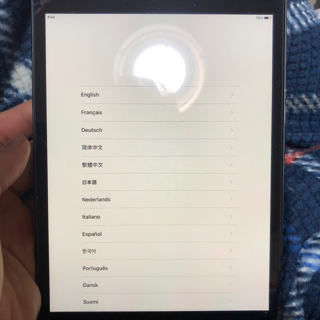 iPadmini1