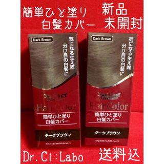 ドクターシーラボ(Dr.Ci Labo)のドクターシーラボ 簡単ひと塗り白髪カバー   10ml  2個セット(白髪染め)