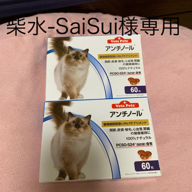 柴水-Saisui様専用 アンチノール 60カプセル 2箱の通販 by マイ's shop｜ラクマ