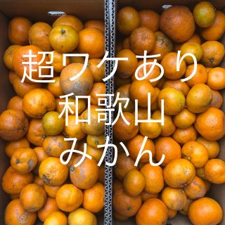 えりふぁんと様専用です、超　ワケありみかん 5kg & はっさく5kg(フルーツ)