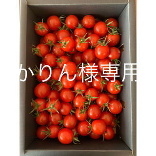 かりん様専用　完熟濃厚ミニトマト 2kg☆キャロルセブン☆ 農家直送(野菜)