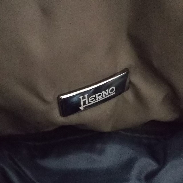 HERNO(ヘルノ)の一時値下げ  ヘルノ  ダウンジャケット   42 メンズのジャケット/アウター(ダウンジャケット)の商品写真