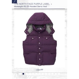 THE NORTH FACE PURPLE LABEL ダウンベスト Mサイズ