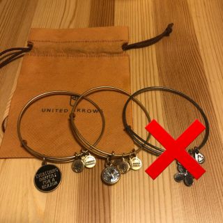 ユナイテッドアローズ(UNITED ARROWS)のAlex and ani ブレスレット2点セット(ブレスレット/バングル)