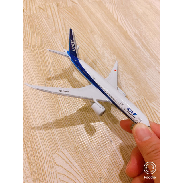 ANA(全日本空輸)(エーエヌエー(ゼンニッポンクウユ))のBOEING787 飛行機 エンタメ/ホビーのテーブルゲーム/ホビー(航空機)の商品写真