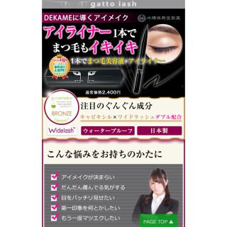 ミズハシホジュドウセイヤク(水橋保寿堂製薬)のgatto lash ガットラッシュ　アイライナー(アイライナー)