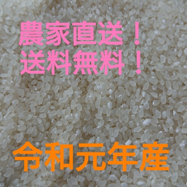 愛媛県産ヒノヒカリ30㎏米/穀物