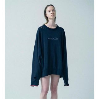 stein シュタイン　19ss sweat スウェット(スウェット)