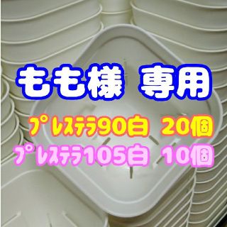 【もも様 専用】【スリット鉢セット♪】プレステラ90白20個 & 105白10個(プランター)