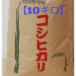 【季節限定商品】精米10kg【コシヒカリ】
格安訳あり令和元年産新米 
(米/穀物)