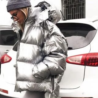 silver down jacket(ダウンジャケット)