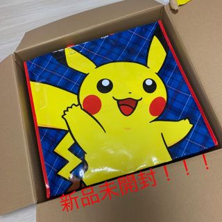 ポケモン(ポケモン)のピカピカバッグ 2020(キャラクターグッズ)