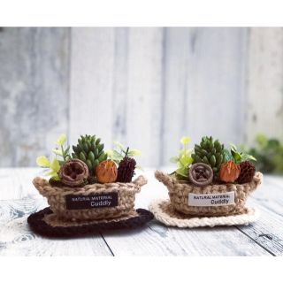 ✳NEW✳麻紐ミニグラタン皿 風(黒)・多肉植物&フェイクグリーン アレンジ ✳NEW✳麻紐ミニグラタン皿 風(黒)・多肉植物&フェイクグリーン アレンジ