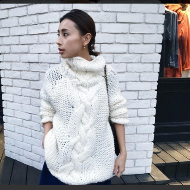 Ameri ANN'S CABLE TURTLE KNIT