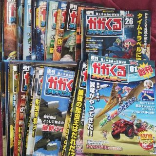 アサヒシンブンシュッパン(朝日新聞出版)の朝日ジュニアシリーズ  週刊かがくるアドベンチャー(趣味/スポーツ/実用)